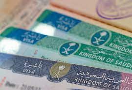 ما هو الفرق بين التأشيرة والفيزا؟