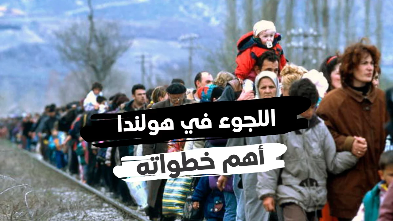 أفضل قصة لقبول اللجوء في هولندا