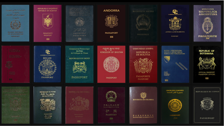 كيف اعرف معلومات عن جواز سفري؟