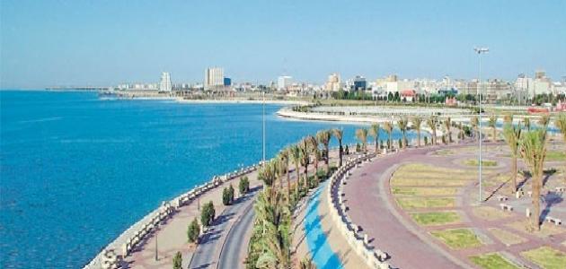 كم ارتفاع الرياض عن سطح البحر