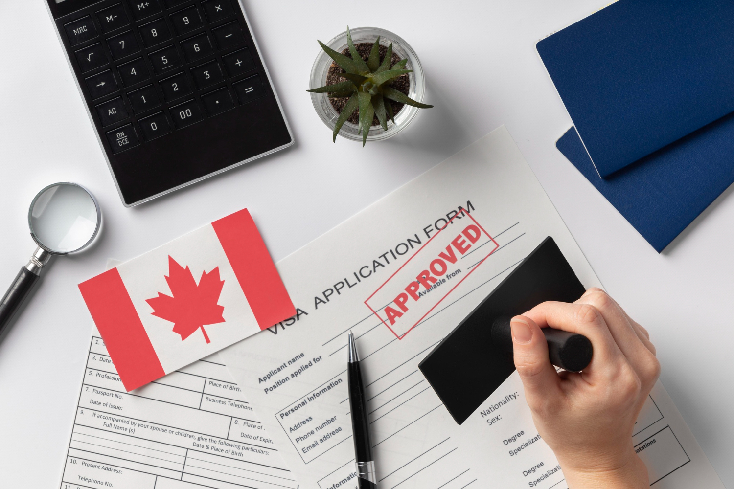 ماهي برامج الهجرة الكندية للحصول على الإقامة الدائمة في كندا؟