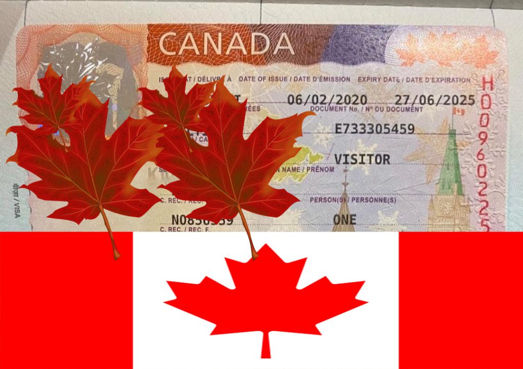 ملف فيزا أو تأشيرة كندا السياحية للمحامين